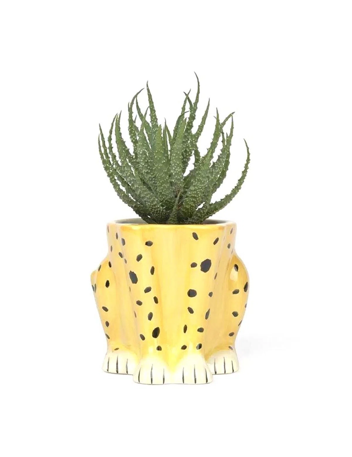Vaso Urban Jungle Chita