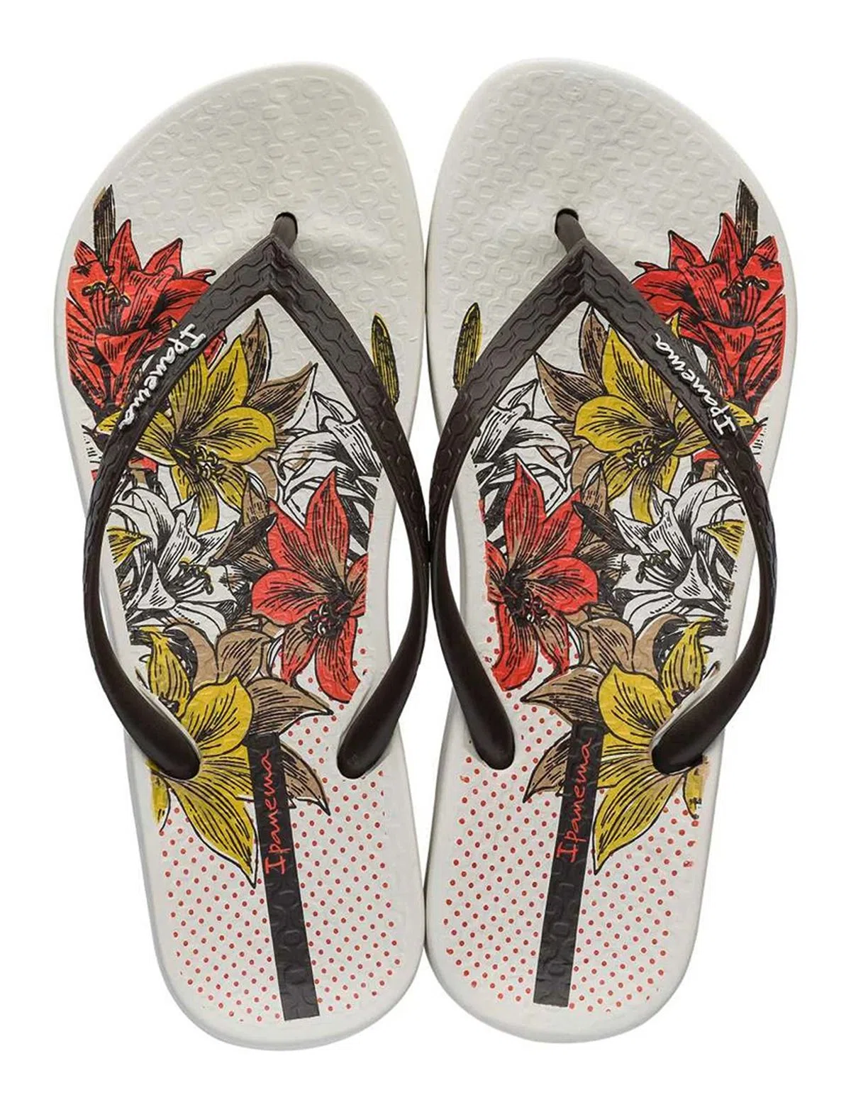Chinelos Anatomic Temas VIII Bege