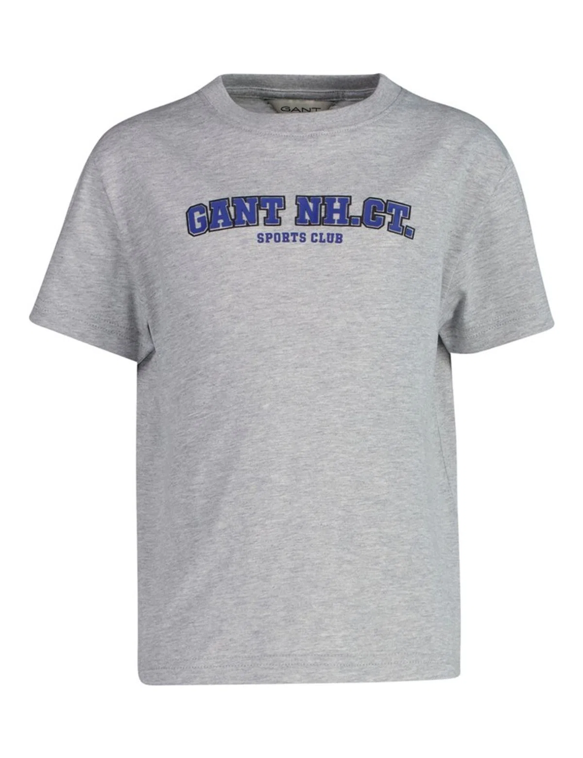 Grey Graphic T-Shirt