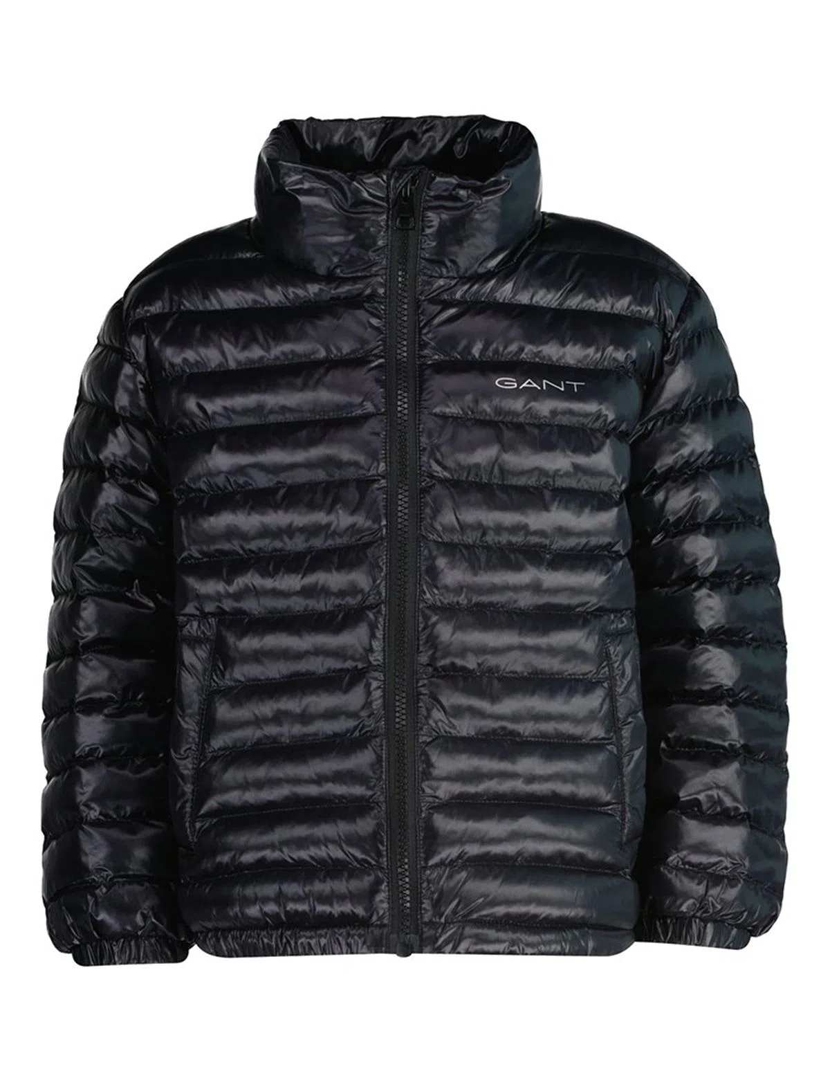 Chaqueta acolchada Shiny Negra