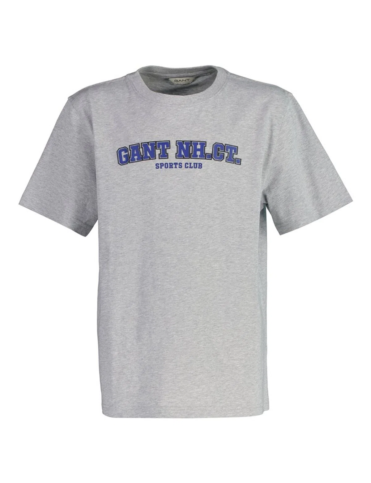 Grey Graphic T-Shirt