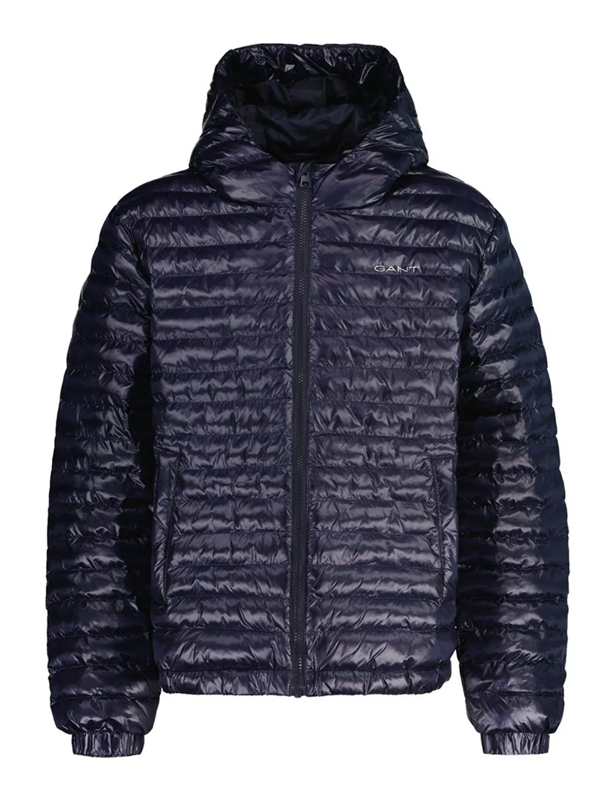 Shiny Blue Padded Jacket