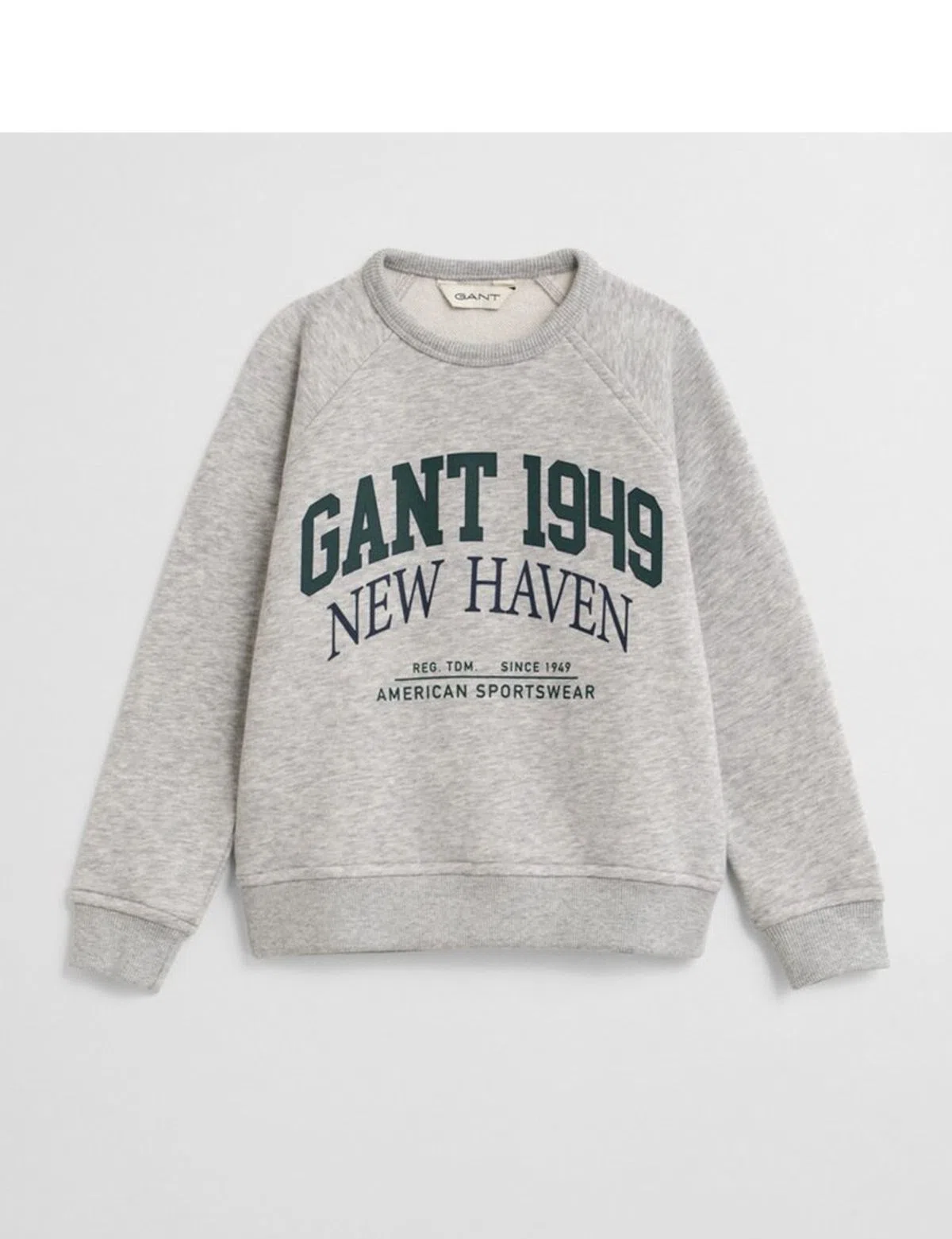 Sweatshirt Graphic Cinzento