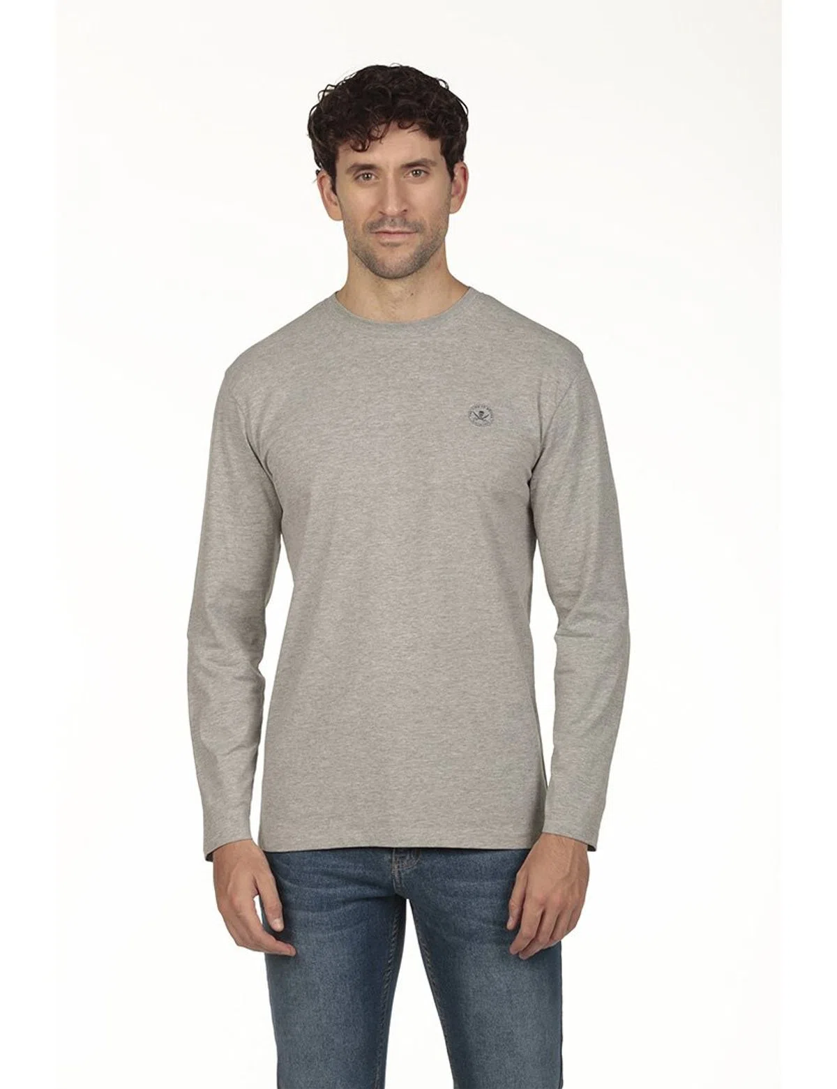 Pull Logo Regular Gris
