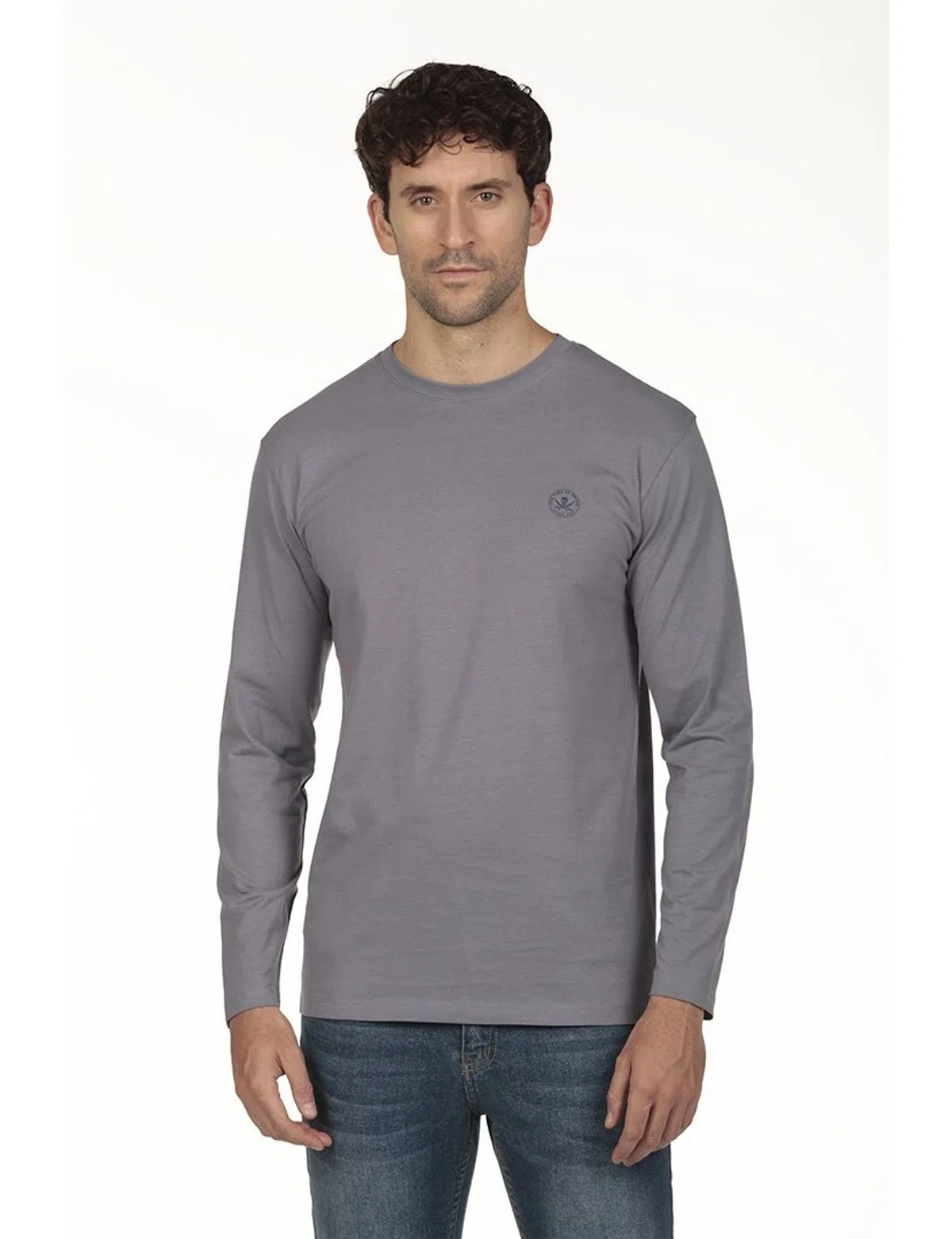 Camisola logo Regular Cinzento