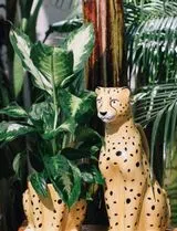 Vaso Urban Jungle Chita