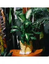 Vaso Urban Jungle Chita