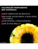 Coloração Permanente 6.3 Louro Escuro Dourado