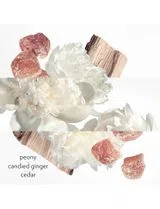 Twilly Eau Ginger Eau de Parfum