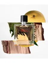 Terre Hermes Eau de Parfum