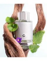 Explorer Platinum Eau de Parfum