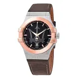 Potenza Watch