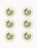 Conjunto de 6 Pratos Sobremesa 19cm CEYLON