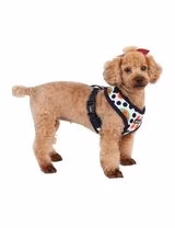 Peitoral para Cães Blossom