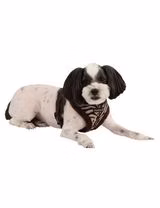 Peitoral Puppia Modern Castanho