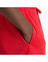 Calções Mesh 5" Sport Essentials Vermelho