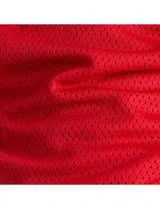 Calções Mesh 5" Sport Essentials Vermelho