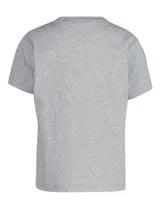 Grey Graphic T-Shirt