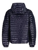 Shiny Blue Padded Jacket