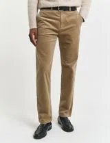 Beige Regular Chino Pants