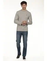 Pull Logo Regular Gris