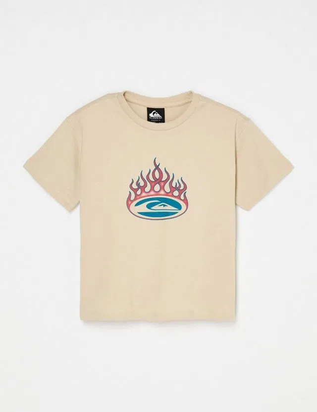 T-Shirt Trucks Boys Cinzento Kids