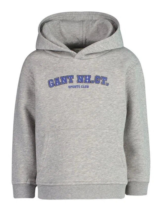 Sweatshirt Graphic Cinzento