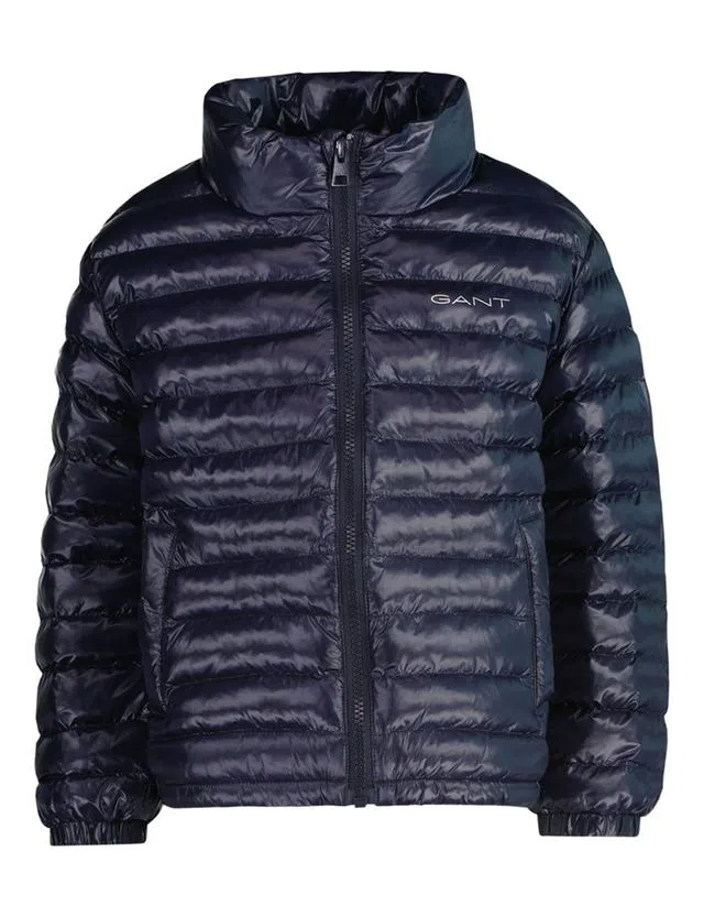 Shiny Blue Padded Jacket