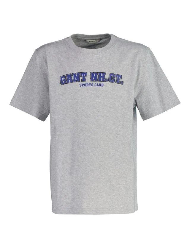 Grey Graphic T-Shirt