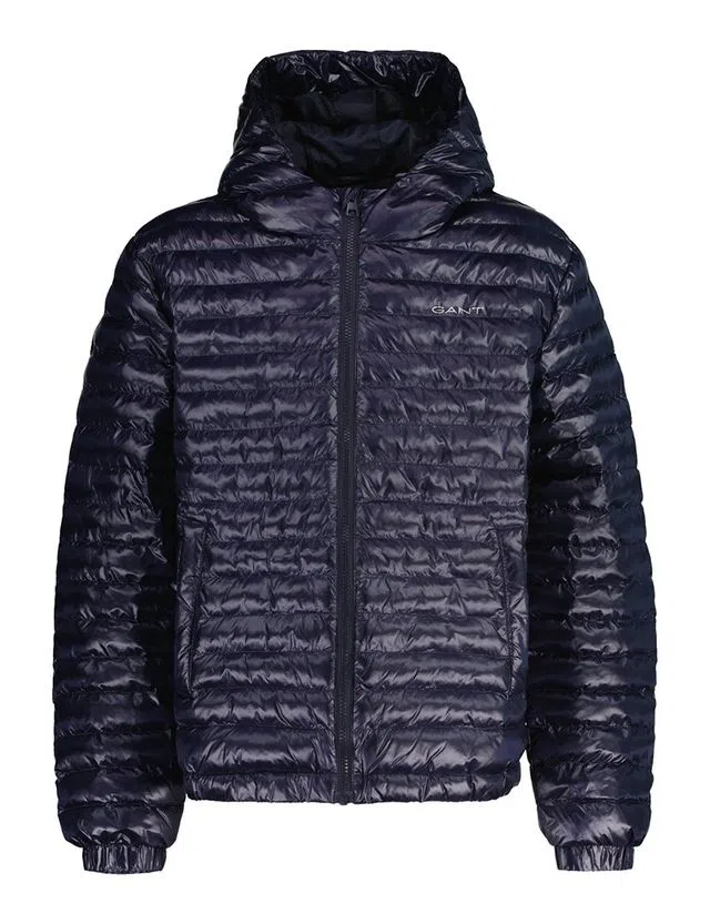 Shiny Blue Padded Jacket