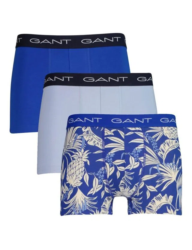Pack 3 Tropical Print Trunks
