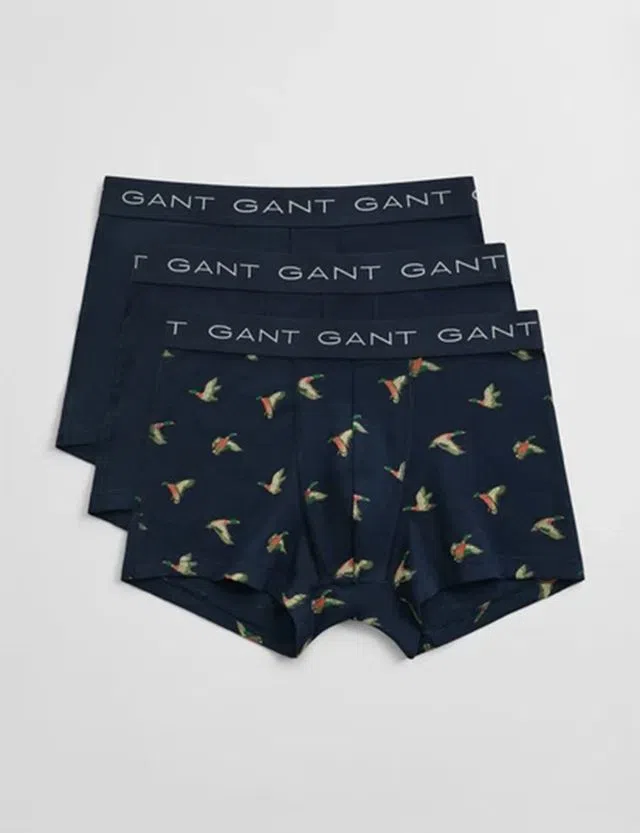 Pack 3 Duck Print Trunks