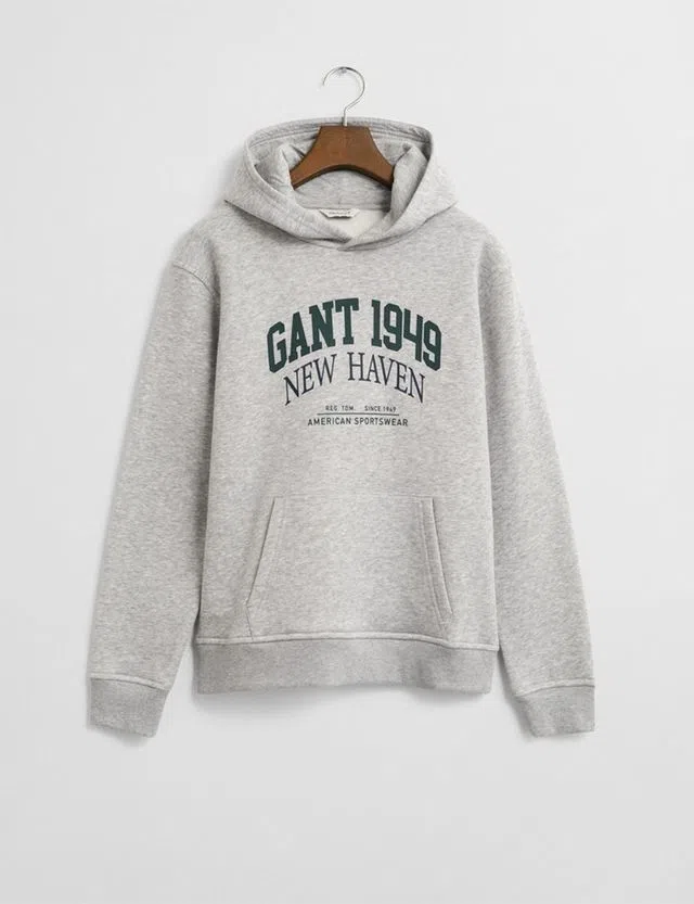 Graphic Sweatshirt Gray