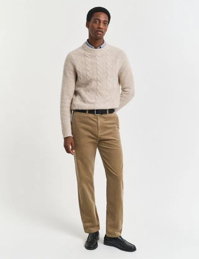 Beige Regular Chino Pants