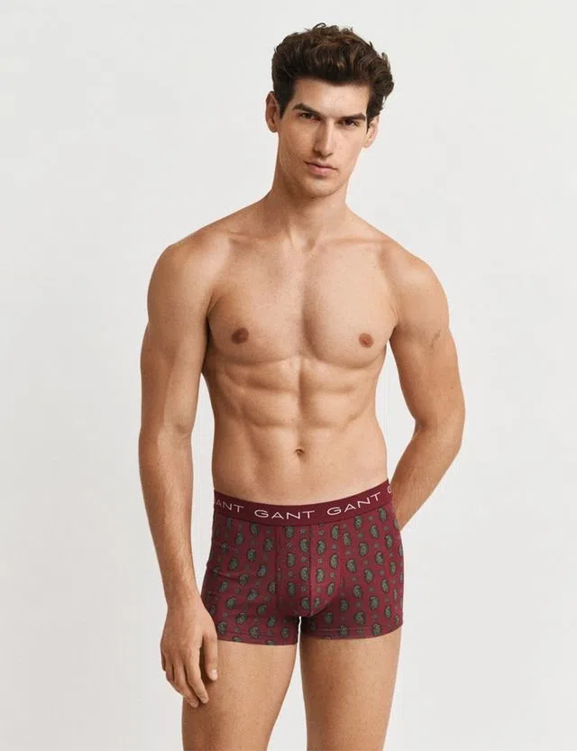 Pack of 3 Paisley Print Trunks