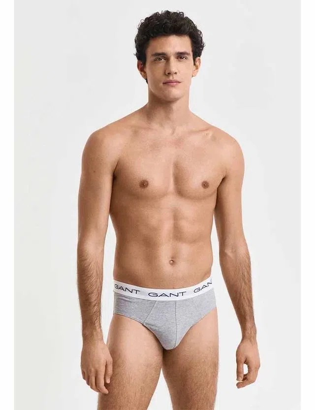 Pack of 3 Briefs