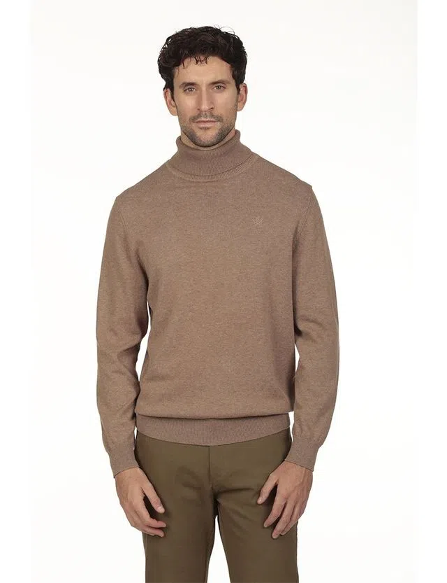 Regular Brown Turtleneck Sweater