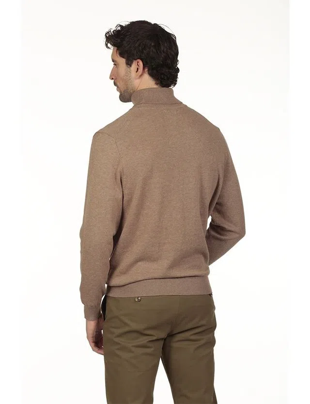 Regular Brown Turtleneck Sweater